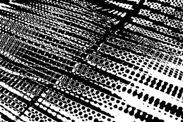 Blanco Negro Patrón Texturizado Fondo Abstracto Espacio Copia — Foto de Stock