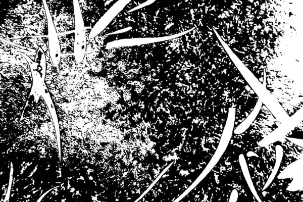Abstraktní Grunge Pozadí Černobílých Barvách — Stock fotografie