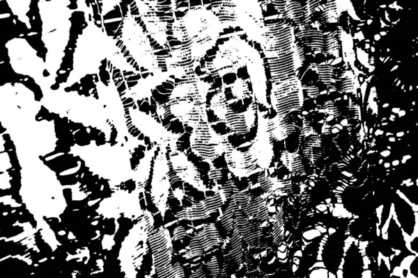 Abstract Background Monochrome Texture Image Including Effect Black White Tones — Stock Photo, Image