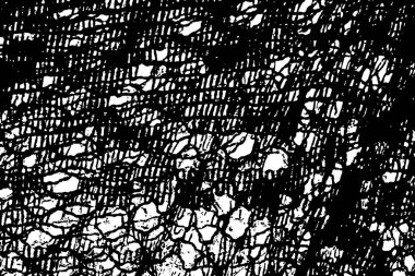 soyut yüzey, siyah beyaz grungy desenli arkaplan