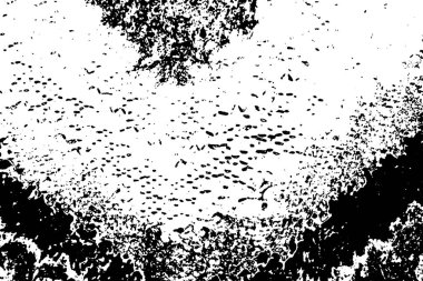 Soyut arkaplan. monokrom dokusu. resim siyah ve beyaz tonları içerir.