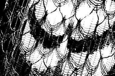 Siyah beyaz desenli, soyut arkaplan, kopyalama alanı