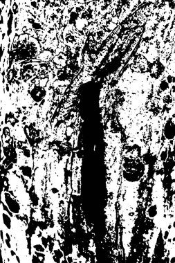 Soyut desenli arka plan. Resim siyah ve beyaz tonların efektini içerir.