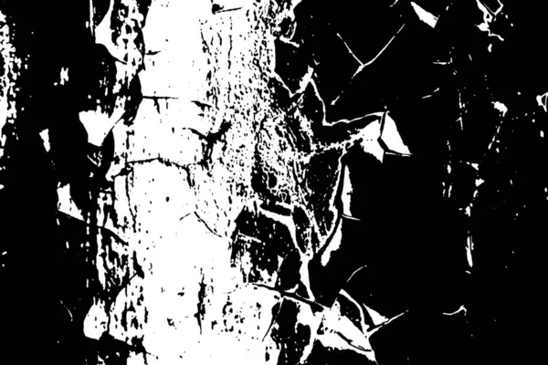 Fond Abstrait Texture Monochrome Image Incluant Effet Les Tons Noir — Photo