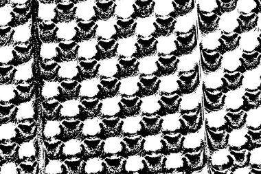 Soyut desenli arka plan. Resim siyah ve beyaz tonların efektini içerir.