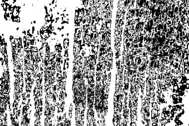 Soyut arkaplan. monokrom dokusu. resim siyah ve beyaz tonları içerir.