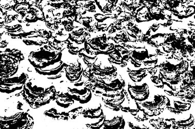 Soyut desenli arka plan. Resim siyah ve beyaz tonların efektini içerir.