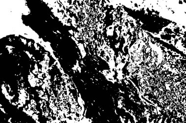 Soyut arkaplan. monokrom dokusu. resim siyah ve beyaz tonları içerir.