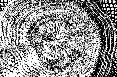 Soyut arkaplan. monokrom dokusu. resim siyah ve beyaz tonları içerir.