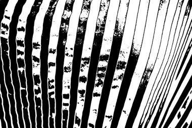 Soyut desenli arka plan. Resim siyah ve beyaz tonların efektini içerir.