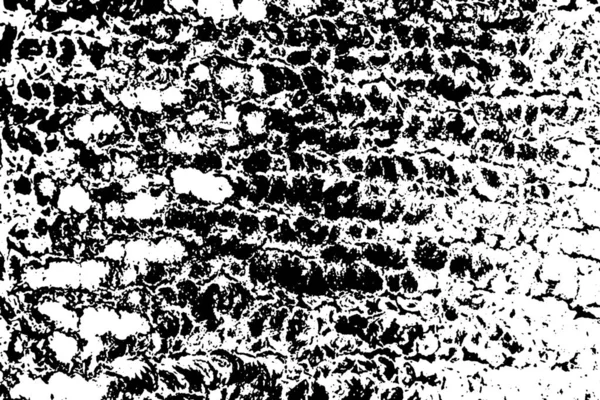 Sfondo Astratto Texture Monocromatica Immagine Compreso Effetto Toni Bianco Nero — Foto Stock