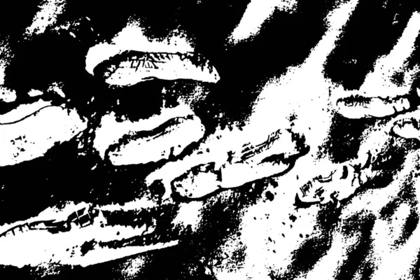 Fondo Texturizado Abstracto Imagen Incluyendo Efecto Tonos Blanco Negro — Foto de Stock