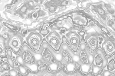 Monokrom dokusu. Görüntü, siyah ve beyaz tonları da içeriyor. Soyut arkaplan. 
