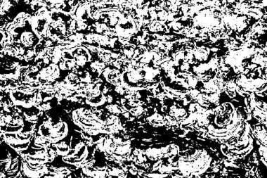 Soyut desenli arka plan. Resim siyah ve beyaz tonların efektini içerir.