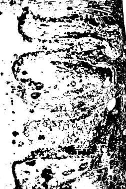 Soyut desenli arka plan. Resim siyah ve beyaz tonların efektini içerir.