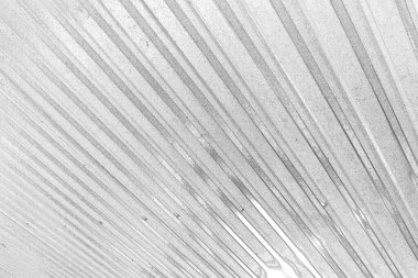 Monokrom dokusu. Görüntü, siyah ve beyaz tonları da içeriyor. Soyut arkaplan. 