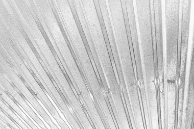 Monokrom dokusu. Görüntü, siyah ve beyaz tonları da içeriyor. Soyut arkaplan. 