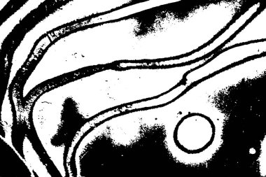 Soyut desenli arka plan. Resim siyah ve beyaz tonların efektini içerir.