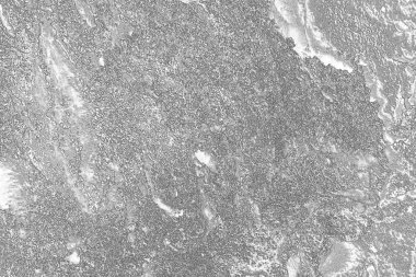 Monokrom dokusu. Görüntü, siyah ve beyaz tonları da içeriyor. Soyut arkaplan. 