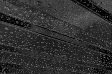 Monokrom dokusu. Görüntü, siyah ve beyaz tonları da içeriyor. Soyut arkaplan. 