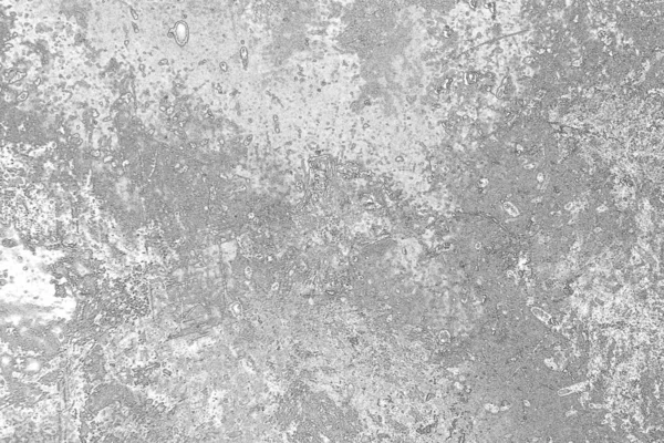 Monochrome texture. Image including effect of black and white tones. Abstract background.