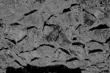 Soyut arkaplan. Monokrom dokusu. Görüntü, siyah ve beyaz tonun etkilerini de içeriyor. Kasılma ve kurutma efektleri çatlatır