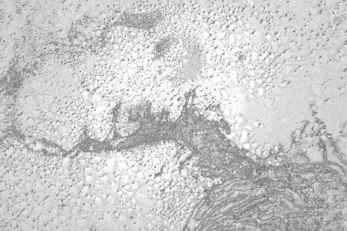 Soyut arkaplan. Monokrom dokusu. Görüntü, siyah ve beyaz tonun etkilerini de içeriyor. Kasılma ve kurutma efektleri çatlatır