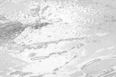 Soyut arkaplan. Monokrom dokusu. Görüntü, siyah ve beyaz tonun etkilerini de içeriyor. Kasılma ve kurutma efektleri çatlatır