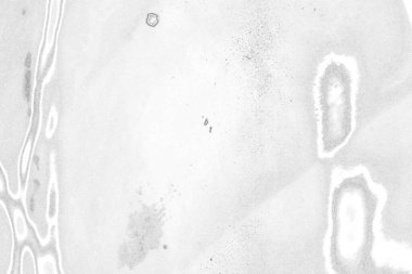 Soyut arkaplan. Monokrom dokusu. Görüntü, siyah ve beyaz tonun etkilerini de içeriyor. Kasılma ve kurutma efektleri çatlatır