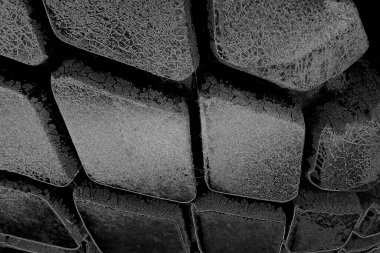 Soyut arkaplan. Monokrom dokusu. Görüntü, siyah ve beyaz tonun etkilerini de içeriyor. Kasılma ve kurutma efektleri çatlatır