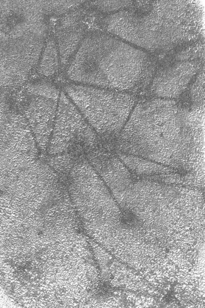 абстрактная поверхность, черный белый грандиозный текстурированный фон