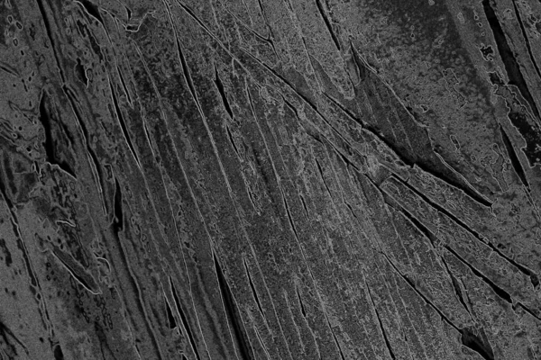 Soyut Arkaplan Monokrom Dokusu Görüntü Siyah Beyaz Tonun Etkilerini Içerir — Stok fotoğraf