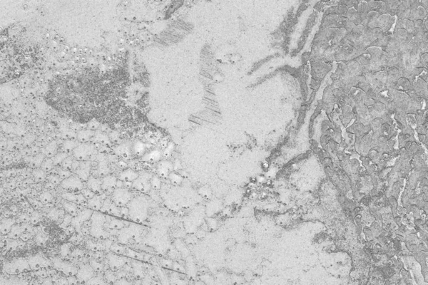 Soyut Arkaplan Monokrom Dokusu Görüntü Siyah Beyaz Tonun Etkilerini Içeriyor — Stok fotoğraf