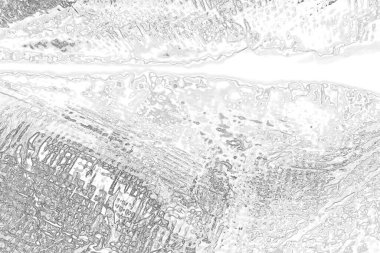 soyut yüzey, siyah beyaz grungy desenli arkaplan