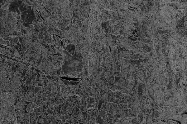 Абстрактный фон. монохромная текстура. Изображение, включая эффекты черно-белых тонов.