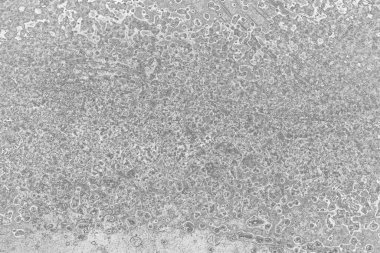 Çizik ve çatlaklarla metal doku