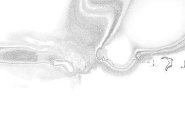 soyut grunge gri arkaplan