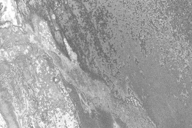 soyut grunge gri arkaplan