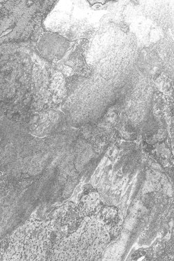 soyut grunge gri arkaplan