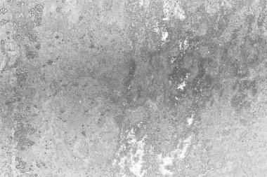 soyut grunge gri arkaplan