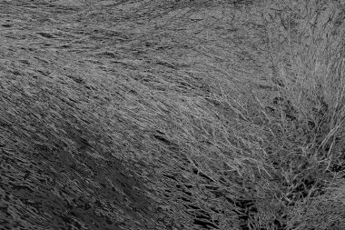 soyut grunge arkaplanı tam çerçeve 