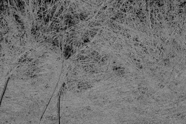 soyut grunge arkaplanı tam çerçeve 