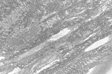 Çizik ve çatlaklarla dolu pis bir doku.