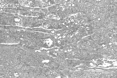 siyah ve beyaz desenli, soyut arkaplan