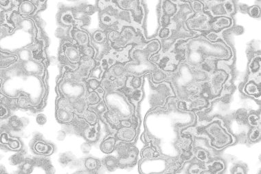 siyah ve beyaz desenli, soyut arkaplan