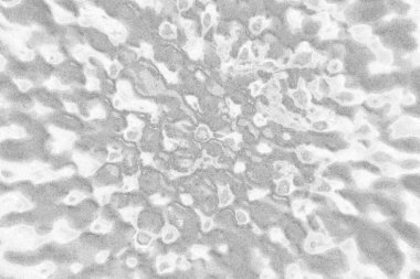 Çizik ve çatlaklarla bembeyaz bir doku.