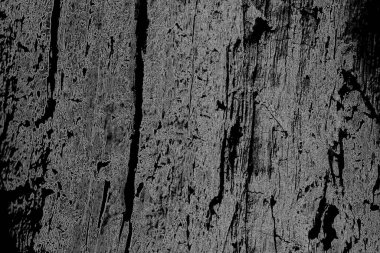 Monokrom dokusu. Görüntü, siyah ve beyaz tonları da içeriyor. Soyut arkaplan. 