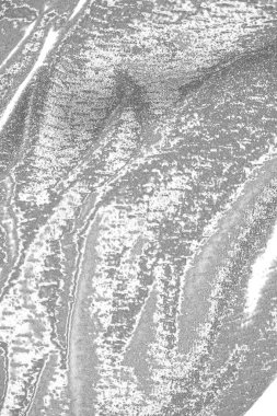 soyut grunge gri arkaplan