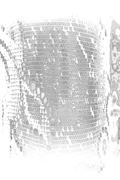 Monokrom Dokusu Görüntü Siyah Beyaz Tonları Içeriyor Soyut Arkaplan — Stok fotoğraf