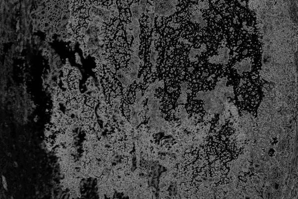 Černý Bílý Texturovaný Vzor Abstraktní Pozadí — Stock fotografie